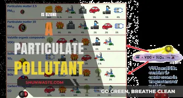 Ozone Pollution: Particulate or Not?