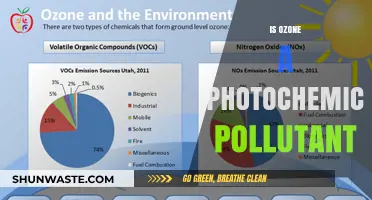 Ozone Pollution: Understanding Photochemical Hazards