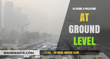 Ozone: Friend or Foe at Ground Level?