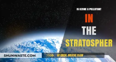 Ozone: Stratospheric Savior or Pollutant?