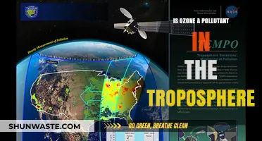 Ozone: Tropospheric Friend or Foe?