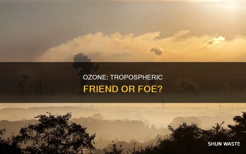 is ozone a pollutant in the troposphere