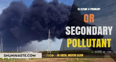 Ozone: Primary or Secondary Pollutant?
