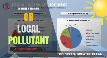 Ozone Pollution: Local or Regional Concern?