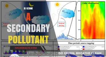 How Ozone, a Secondary Pollutant, Impacts Our Air Quality