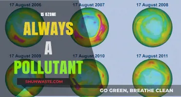 Ozone: Friend or Foe?