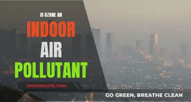 Ozone's Impact: Indoor Air Quality and Health Risks