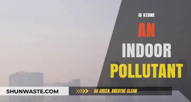 Ozone: Indoor Air Quality and Health