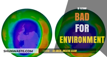 Ozone's Environmental Impact: Friend or Foe for Our Planet?