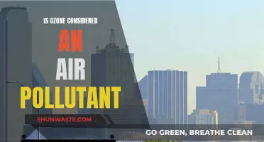 Ozone: Friend or Foe in the Air We Breathe?