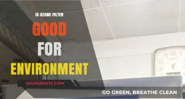 Ozone Filters: Eco-Friendly Solution or Environmental Concern?