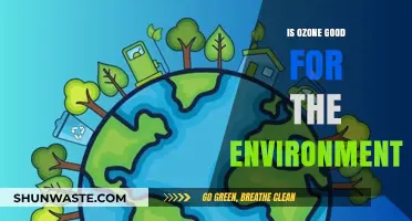 Ozone's Environmental Impact: Beneficial or Harmful for Our Planet?