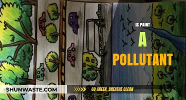 Paint and Pollution: What's the Real Damage?