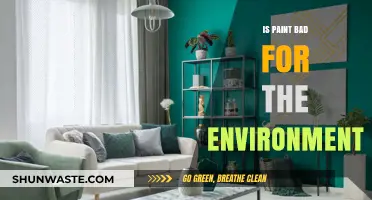 Is Paint Eco-Friendly? Uncovering Its Environmental Impact and Sustainability