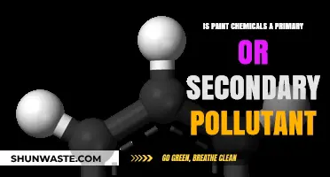 Paint Chemicals: Primary or Secondary Pollutant?