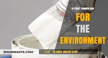 Is Paint Thinner Harmful? Environmental Impact and Eco-Friendly Alternatives