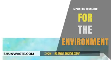 Rock Painting: Eco-Friendly Hobby or Environmental Hazard?