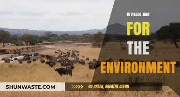 Is Paleo Eco-Friendly? Environmental Impact of the Paleolithic Diet