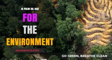 Palm Oil's Environmental Impact: Sustainable or Destructive for Our Planet?