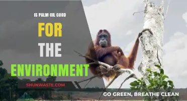 Palm Oil's Environmental Impact: Sustainable Solution or Ecological Threat?