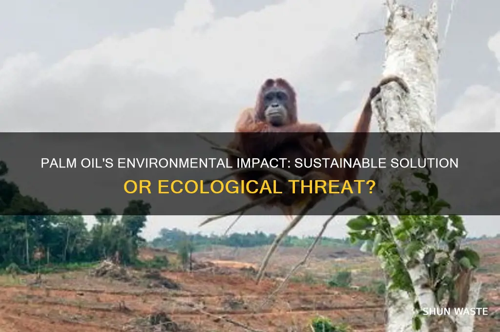 is palm oil good for the environment