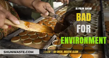 Palm Sugar's Environmental Impact: Sustainable Sweetener or Ecological Threat?