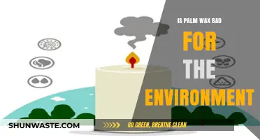 Palm Wax Environmental Impact: Sustainable or Harmful for Our Planet?
