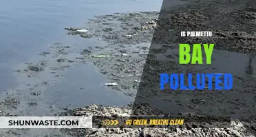Palmetto Bay Pollution: Is It a Concern?