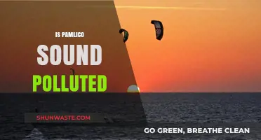 Pamlico Sound: Polluted or Pristine?