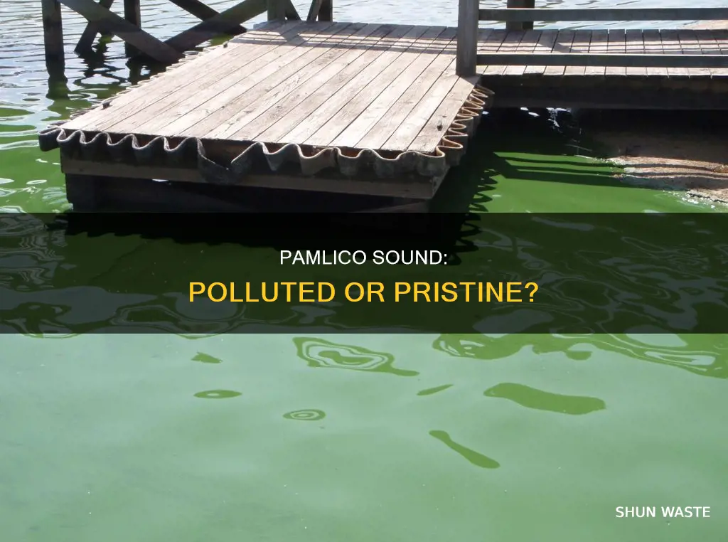 is pamlico sound polluted