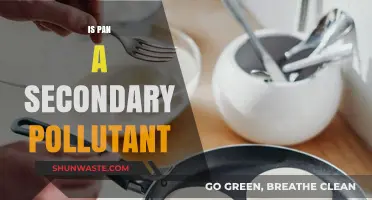 Understanding PAN: A Secondary Pollutant in Our Air