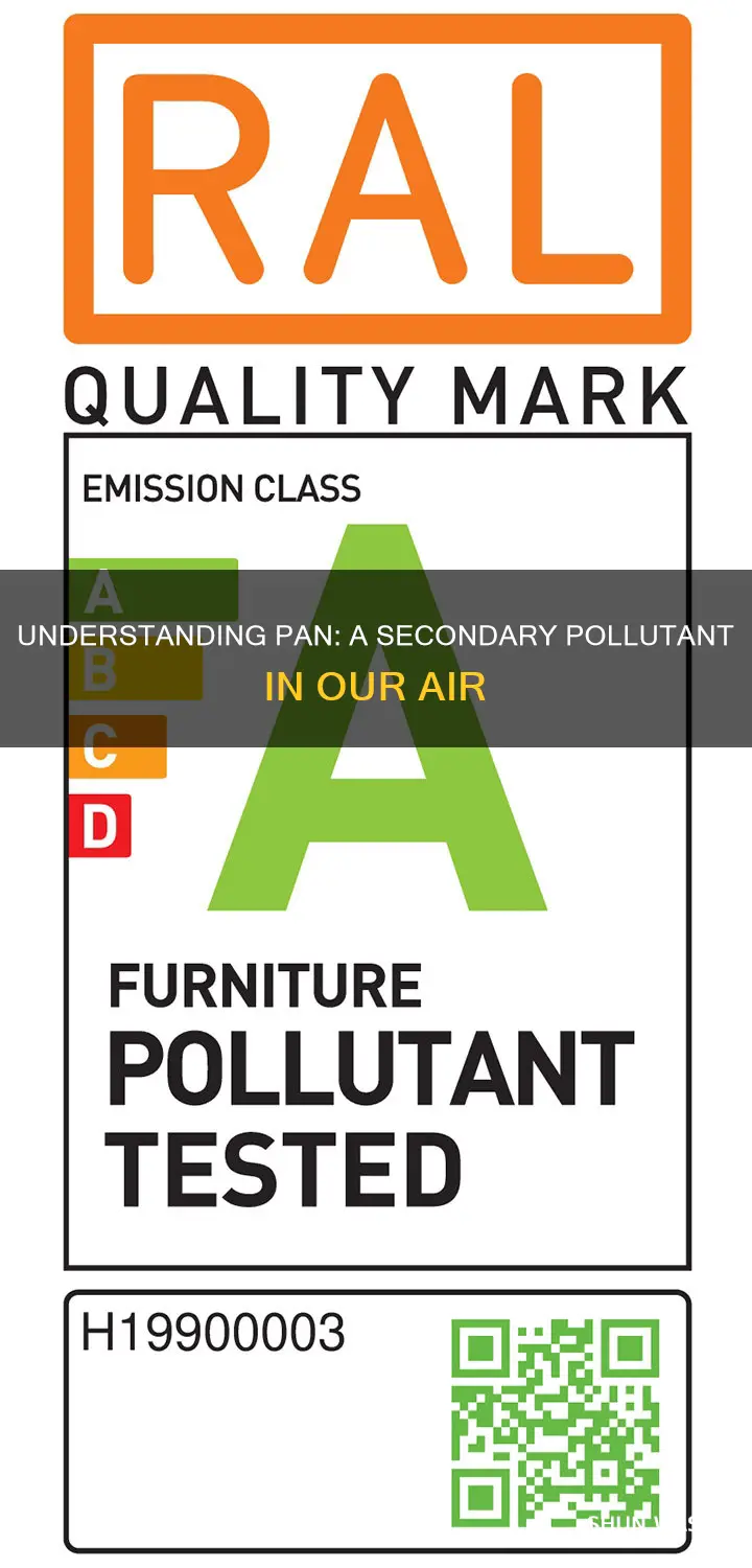 is pan a secondary pollutant