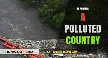 Panama's Pollution Problem: A Country's Environmental Crisis