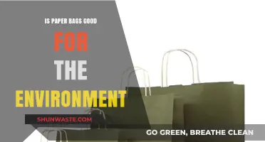 Are Paper Bags Eco-Friendly? Unpacking Their Environmental Impact