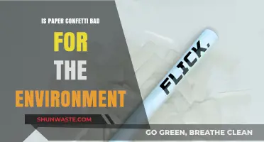 Eco-Friendly Celebrations: Is Paper Confetti Harming Our Planet?