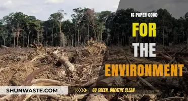 Is Paper Eco-Friendly? Uncovering Its Environmental Impact and Sustainability