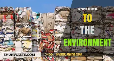 Is Paper Eco-Friendly? Uncovering Its Environmental Impact and Benefits