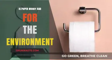 Paper Money's Environmental Impact: Sustainable Alternatives for a Greener Future