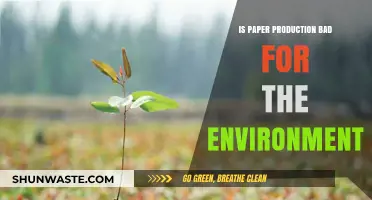Paper Production's Environmental Impact: Sustainable Practices vs. Ecological Costs