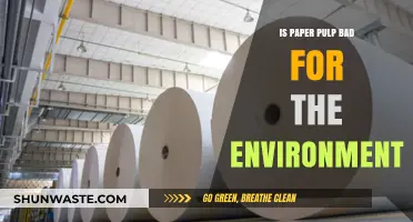 Is Paper Pulp Eco-Friendly? Environmental Impact and Sustainability Explained