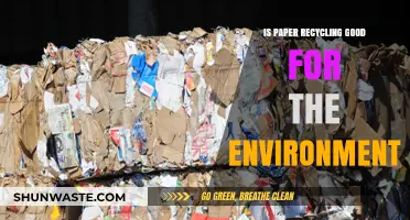 Is Paper Recycling Eco-Friendly? Uncovering Its Environmental Impact and Benefits