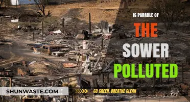 The Parable of the Sower: Pollution and Its Impact