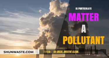 Particulate Matter: Understanding Its Pollution and Health Impact