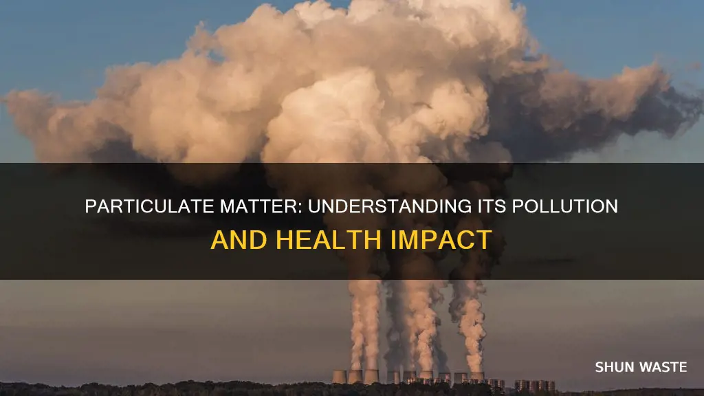 is particulate matter a pollutant