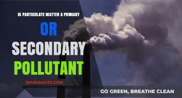 Particulate Matter: Primary or Secondary Pollutant?