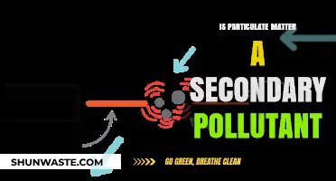 Particulate Matter: Primary or Secondary Pollutant?