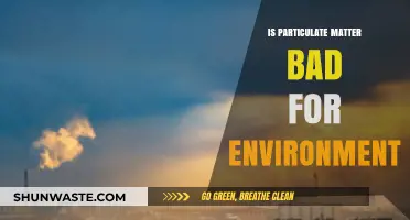 Particulate Matter's Environmental Impact: Uncovering the Harmful Effects