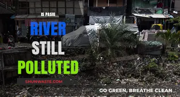 Pasig River's Pollution: A Lingering Problem?