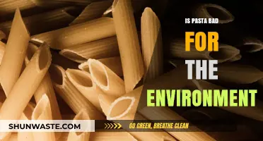 Is Pasta Eco-Friendly? Uncovering Its Environmental Impact and Sustainability