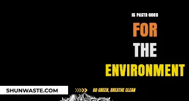 Is Pasta Eco-Friendly? Exploring Its Environmental Impact and Sustainability